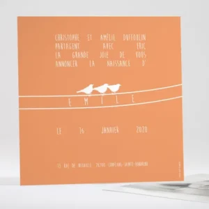 Faire-part de naissance Le chant des oiseaux*Faire-part Elégant New