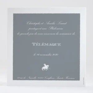 Faire-part de naissance Le petit chevalier*Faire-part Elégant Outlet