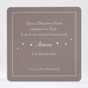 Faire-part de naissance Le petit messager*Faire-part Elégant Clearance