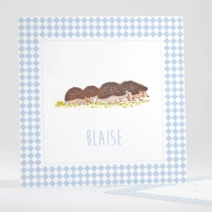 Faire-part de naissance Lovely Herissons*Faire-part Elégant Online