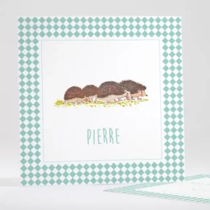 Faire-part de naissance Lovely Herissons*Faire-part Elégant Online
