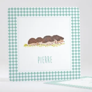 Faire-part de naissance Lovely Herissons*Faire-part Elégant Online