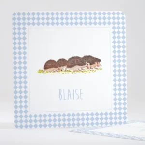 Faire-part de naissance Lovely Herissons*Faire-part Elégant Online