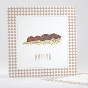 Faire-part de naissance Lovely Herissons*Faire-part Elégant Online
