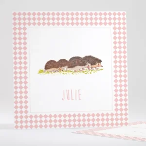 Faire-part de naissance Lovely Herissons*Faire-part Elégant Online