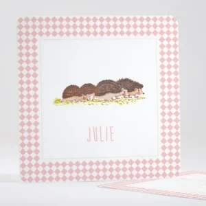 Faire-part de naissance Lovely Herissons*Faire-part Elégant Online