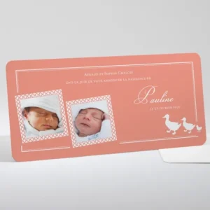 Faire-part de naissance Marche des canards*Faire-part Elégant Discount