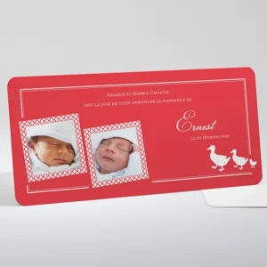 Faire-part de naissance Marche des canards*Faire-part Elégant Discount