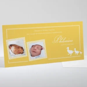 Faire-part de naissance Marche des canards*Faire-part Elégant Discount