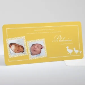 Faire-part de naissance Marche des canards*Faire-part Elégant Discount