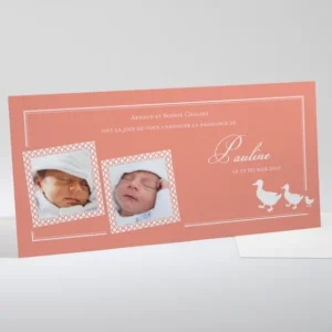 Faire-part de naissance Marche des canards*Faire-part Elégant Discount