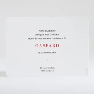 Faire-part de naissance Mes petits doudous*Faire-part Elégant New