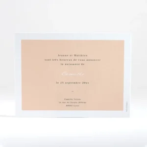 Faire-part de naissance Medaillon tout doux paysage*Faire-part Elégant Hot