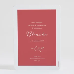 Faire-part de naissance Multitude*Faire-part Elégant Outlet