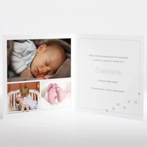 Faire-part de naissance Oies cirees*Faire-part Elégant Sale