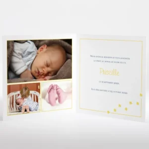 Faire-part de naissance Oies cirees*Faire-part Elégant Sale