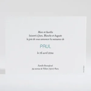 Faire-part de naissance Petit amour paysage 4 enfants*Faire-part Elégant Best