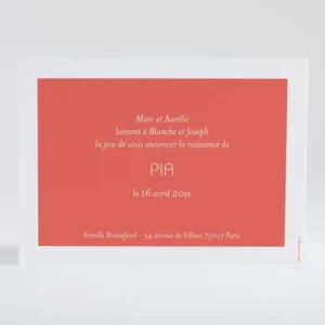 Faire-part de naissance Petit amour paysage 3 enfants*Faire-part Elégant Online