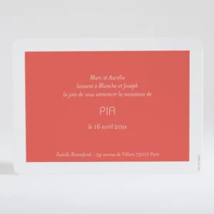 Faire-part de naissance Petit amour paysage 3 enfants*Faire-part Elégant Online