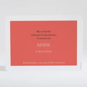Faire-part de naissance Petit amour paysage*Faire-part Elégant Discount