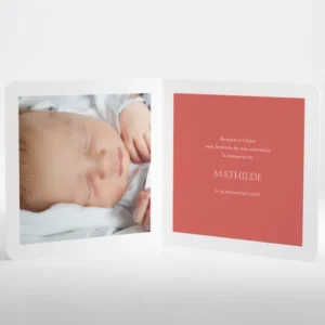 Faire-part de naissance Petit faon*Faire-part Elégant Clearance