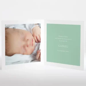 Faire-part de naissance Petit faon*Faire-part Elégant Clearance