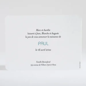 Faire-part de naissance Petit amour paysage 4 enfants*Faire-part Elégant Best