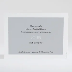 Faire-part de naissance Petit amour paysage 3 enfants*Faire-part Elégant Online