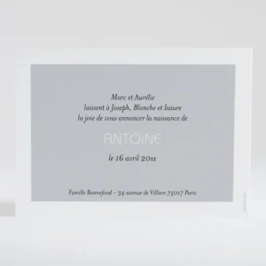 Faire-part de naissance Petit amour paysage 4 enfants*Faire-part Elégant Best