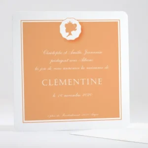 Faire-part de naissance Petite tete couronnee*Faire-part Elégant Fashion