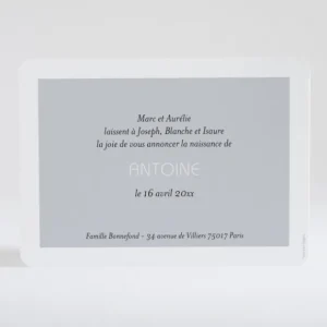 Faire-part de naissance Petit amour paysage 4 enfants*Faire-part Elégant Best