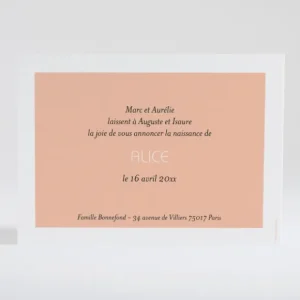 Faire-part de naissance Petit amour paysage 3 enfants*Faire-part Elégant Online