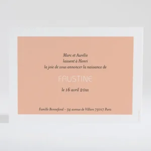 Faire-part de naissance Petit amour paysage 2 enfants*Faire-part Elégant Outlet
