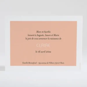 Faire-part de naissance Petit amour paysage 4 enfants*Faire-part Elégant Best