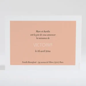 Faire-part de naissance Petit amour paysage*Faire-part Elégant Discount