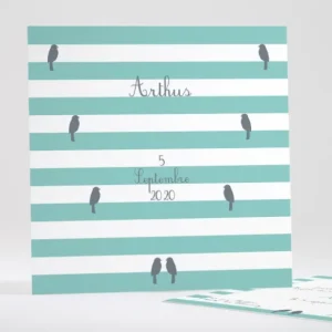 Faire-part de naissance Portee d'oiseaux*Faire-part Elégant Sale