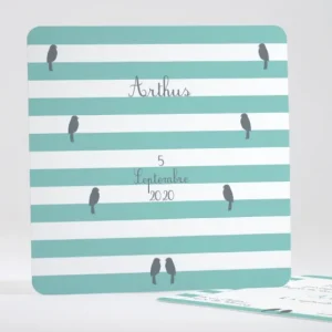 Faire-part de naissance Portee d'oiseaux*Faire-part Elégant Sale