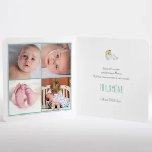 Faire-part de naissance Poussin*Faire-part Elégant Clearance