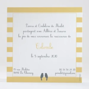 Faire-part de naissance Portee d'oiseaux*Faire-part Elégant Sale