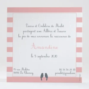 Faire-part de naissance Portee d'oiseaux*Faire-part Elégant Sale