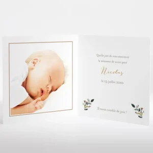 Faire-part de naissance Promenade en landau*Faire-part Elégant Online
