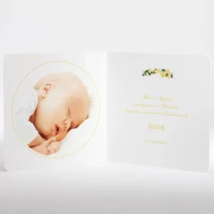 Faire-part de naissance Printemps livret*Faire-part Elégant New
