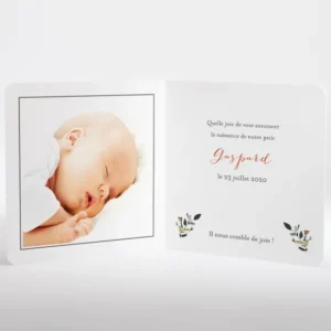 Faire-part de naissance Promenade en landau*Faire-part Elégant Online
