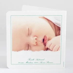 Faire-part de naissance Printemps livret*Faire-part Elégant New