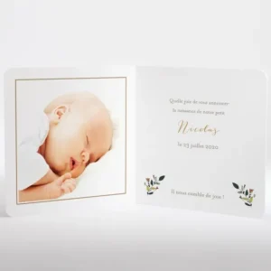 Faire-part de naissance Promenade en landau*Faire-part Elégant Online