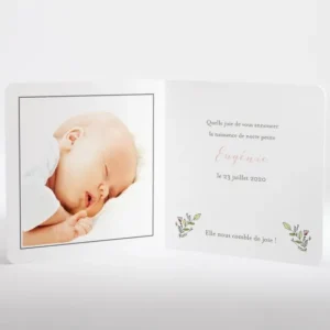 Faire-part de naissance Promenade en landau*Faire-part Elégant Online