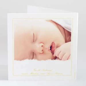 Faire-part de naissance Printemps livret*Faire-part Elégant New