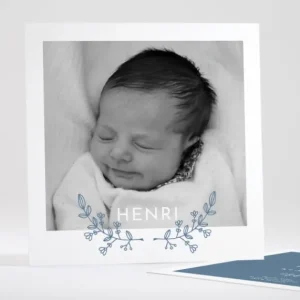 Faire-part de naissance Rameau exquis*Faire-part Elégant Best