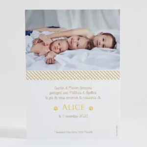Faire-part de naissance Renardeau simple*Faire-part Elégant New