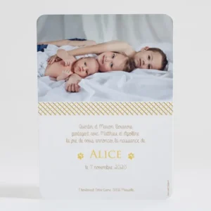 Faire-part de naissance Renardeau simple*Faire-part Elégant New